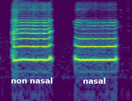 频谱图上的鼻音
